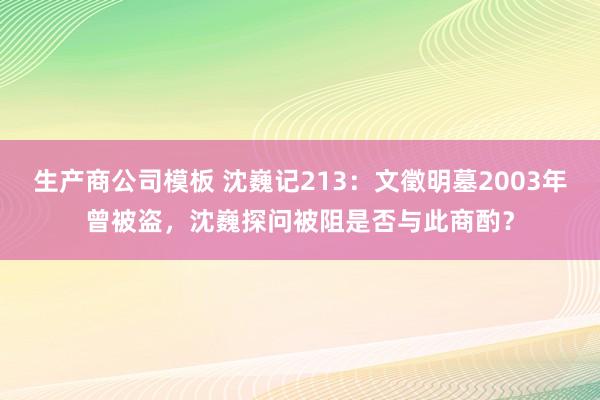 生产商公司模板 沈巍记213:文徵明墓2003年曾被盗,沈巍探问被阻是否与此商酌?