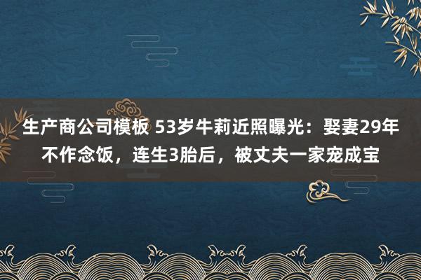 生产商公司模板 53岁牛莉近照曝光：娶妻29年不作念饭，连生3胎后，被丈夫一家宠成宝