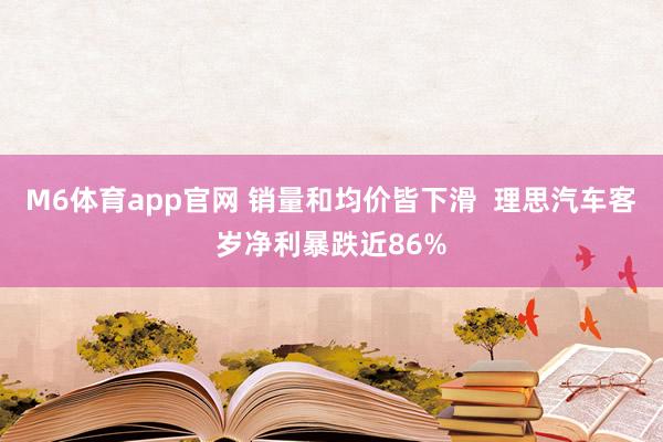 M6体育app官网 销量和均价皆下滑  理思汽车客岁净利暴跌近86%