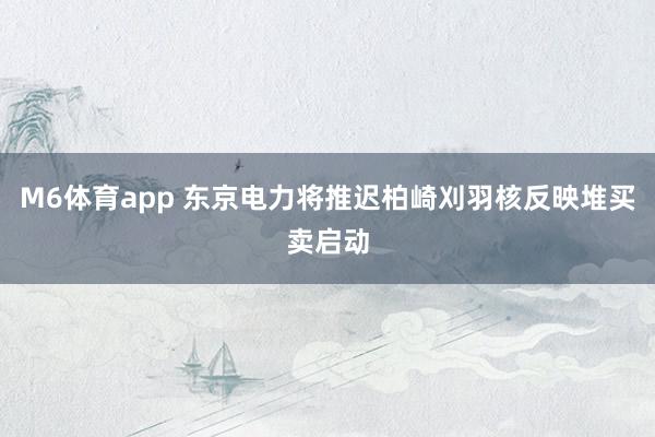 M6体育app 东京电力将推迟柏崎刈羽核反映堆买卖启动