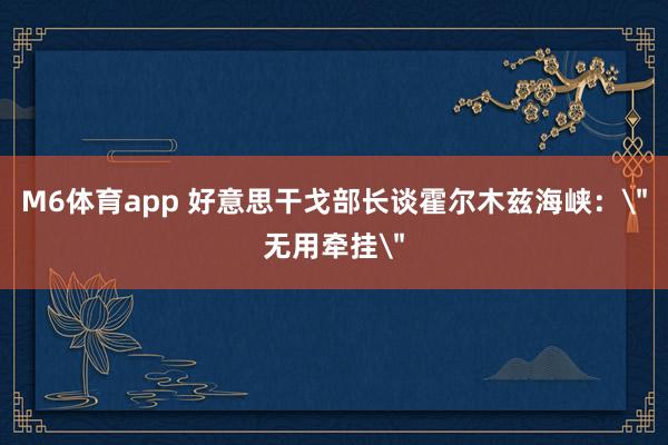 M6体育app 好意思干戈部长谈霍尔木兹海峡：