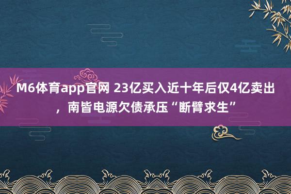 M6体育app官网 23亿买入近十年后仅4亿卖出，南皆电源欠债承压“断臂求生”