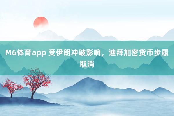 M6体育app 受伊朗冲破影响，迪拜加密货币步履取消