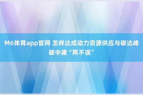 M6体育app官网 怎样达成动力资源供应与碳达峰碳中庸“两不误”