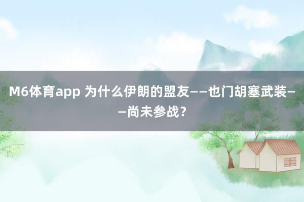 M6体育app 为什么伊朗的盟友——也门胡塞武装——尚未参战？