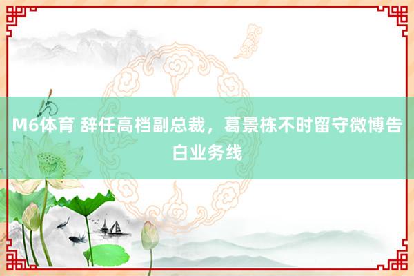 M6体育 辞任高档副总裁，葛景栋不时留守微博告白业务线