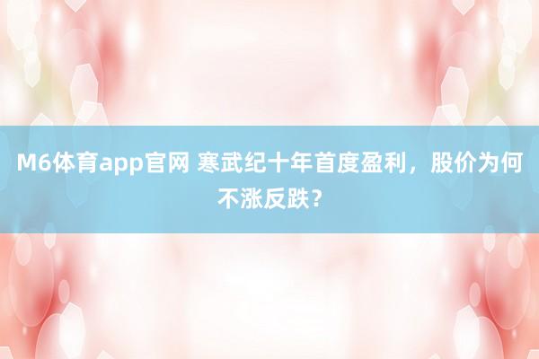 M6体育app官网 寒武纪十年首度盈利，股价为何不涨反跌？