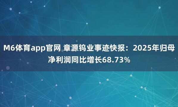 M6体育app官网 章源钨业事迹快报：2025年归母净利润同比增长68.73%