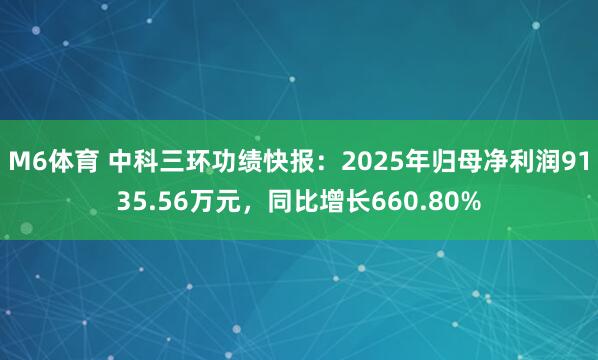 M6体育 中科三环功绩快报：2025年归母净利润9135.56万元，同比增长660.80%