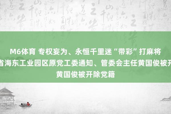 M6体育 专权妄为、永恒千里迷“带彩”打麻将！青海省海东工业园区原党工委通知、管委会主任黄国俊被开除党籍