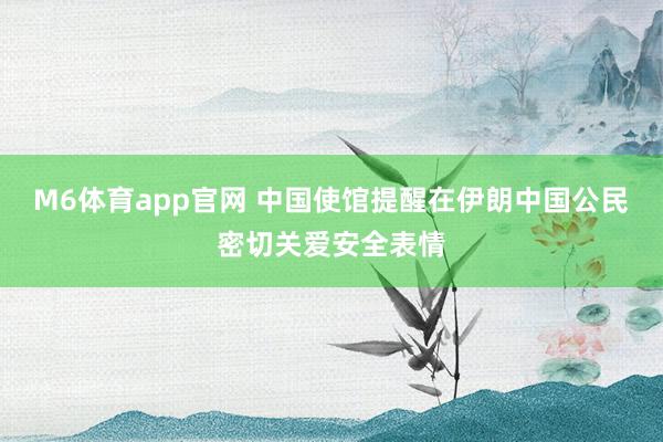 M6体育app官网 中国使馆提醒在伊朗中国公民密切关爱安全表情