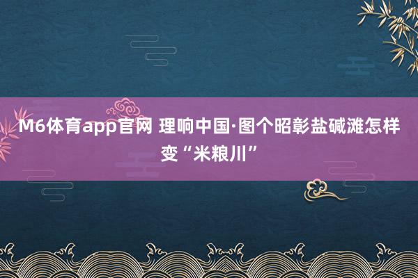 M6体育app官网 理响中国·图个昭彰盐碱滩怎样变“米粮川”