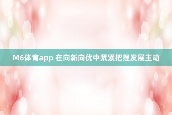 M6体育app 在向新向优中紧紧把捏发展主动