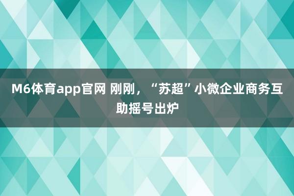 M6体育app官网 刚刚，“苏超”小微企业商务互助摇号出炉