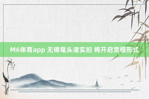 M6体育app 无锡鼋头渚实拍 将开启赏樱形式