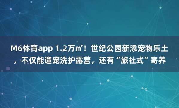M6体育app 1.2万㎡！世纪公园新添宠物乐土，不仅能遛宠洗护露营，还有“旅社式”寄养