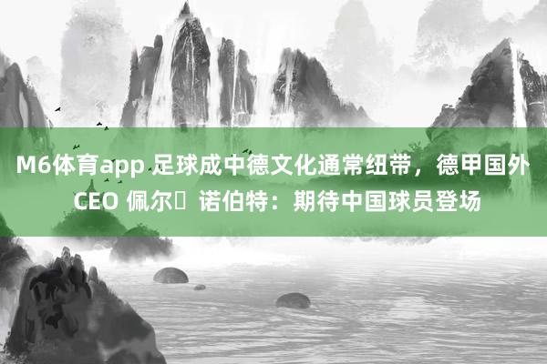 M6体育app 足球成中德文化通常纽带，德甲国外 CEO 佩尔・诺伯特：期待中国球员登场