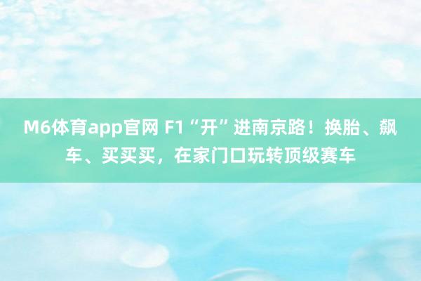 M6体育app官网 F1“开”进南京路！换胎、飙车、买买买，在家门口玩转顶级赛车