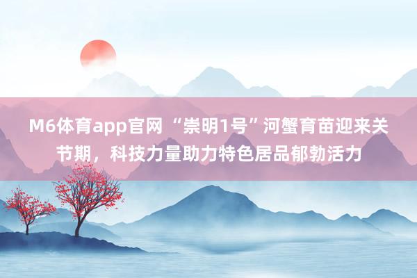M6体育app官网 “崇明1号”河蟹育苗迎来关节期，科技力量助力特色居品郁勃活力