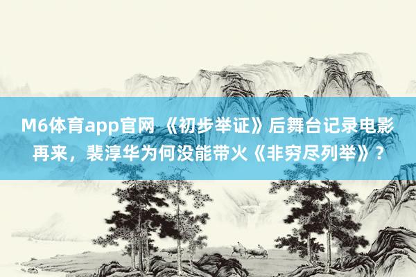 M6体育app官网 《初步举证》后舞台记录电影再来，裴淳华为何没能带火《非穷尽列举》？