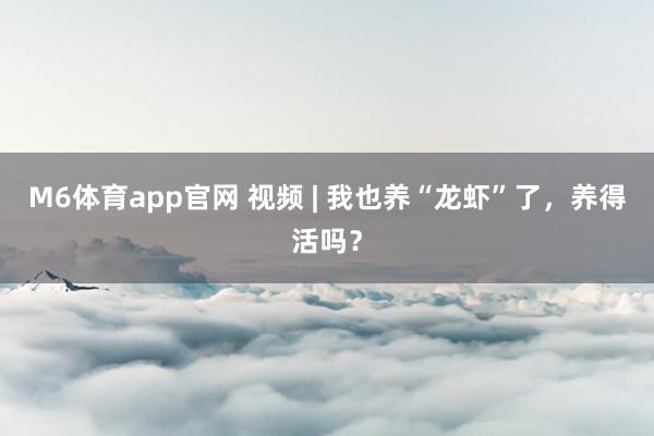 M6体育app官网 视频 | 我也养“龙虾”了，养得活吗？