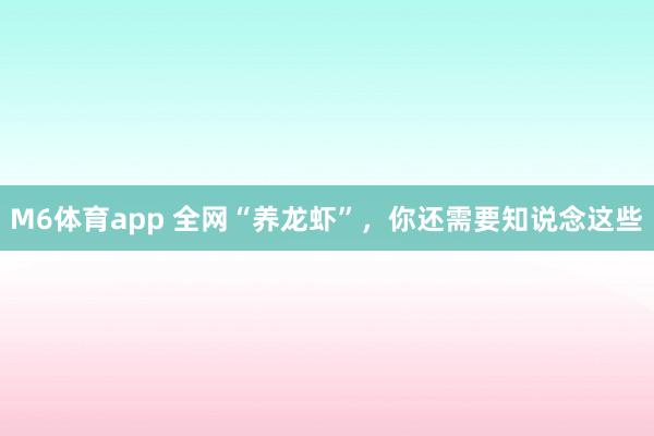 M6体育app 全网“养龙虾”，你还需要知说念这些