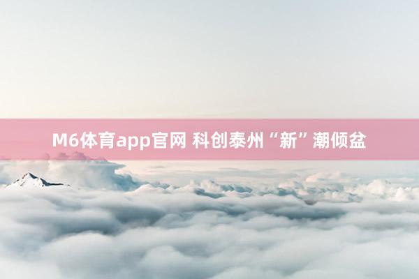 M6体育app官网 科创泰州“新”潮倾盆