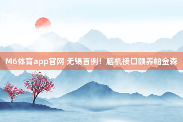 M6体育app官网 无锡首例！脑机接口颐养帕金森