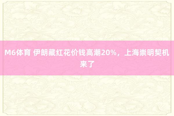 M6体育 伊朗藏红花价钱高潮20%，上海崇明契机来了