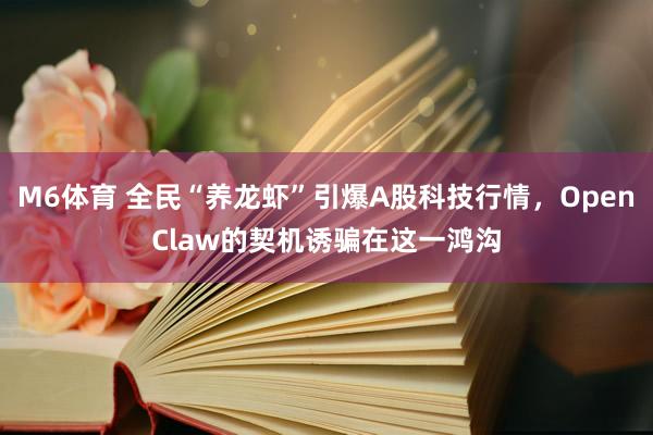 M6体育 全民“养龙虾”引爆A股科技行情，OpenClaw的契机诱骗在这一鸿沟