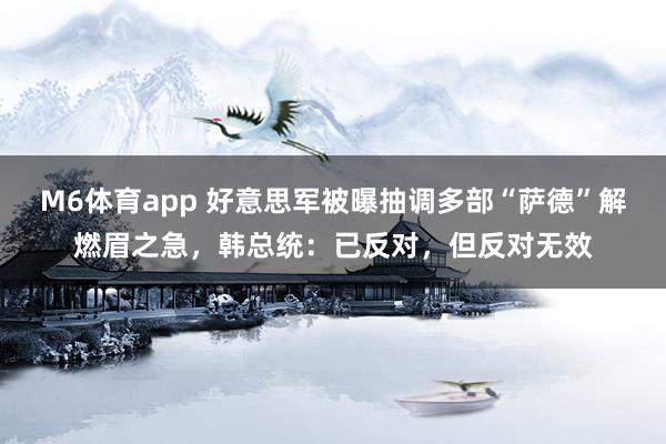 M6体育app 好意思军被曝抽调多部“萨德”解燃眉之急，韩总统：已反对，但反对无效