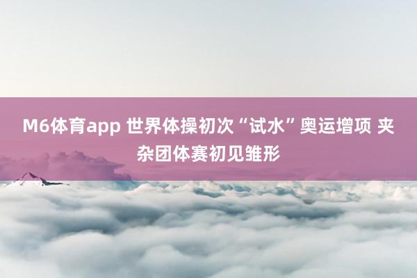 M6体育app 世界体操初次“试水”奥运增项 夹杂团体赛初见雏形