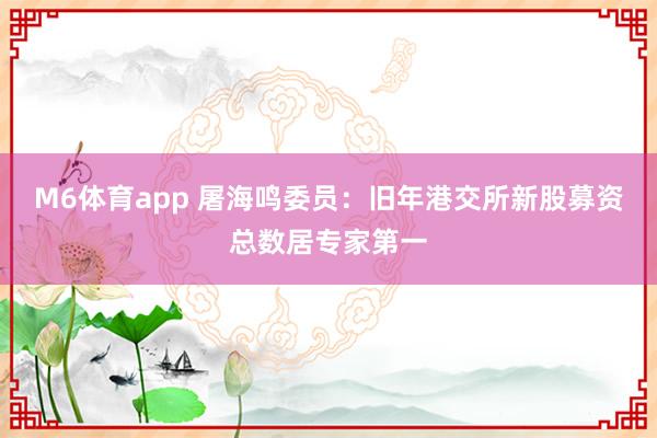 M6体育app 屠海鸣委员：旧年港交所新股募资总数居专家第一