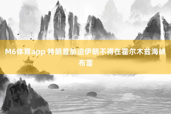 M6体育app 特朗普胁迫伊朗不得在霍尔木兹海峡布雷