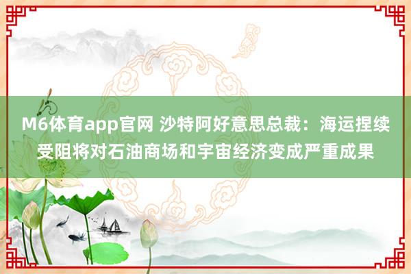 M6体育app官网 沙特阿好意思总裁：海运捏续受阻将对石油商场和宇宙经济变成严重成果