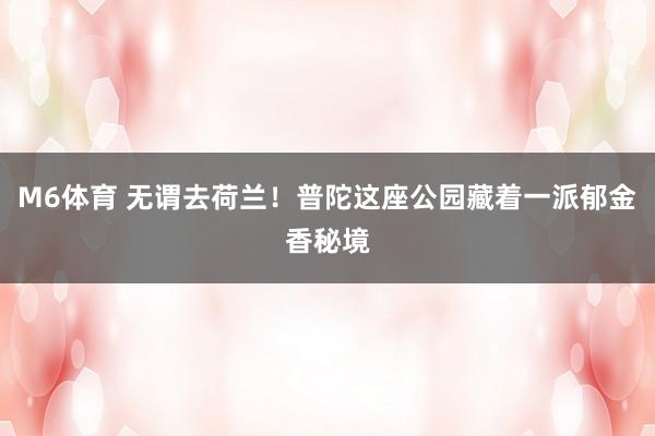 M6体育 无谓去荷兰！普陀这座公园藏着一派郁金香秘境