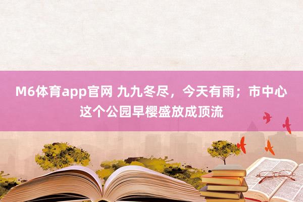 M6体育app官网 九九冬尽，今天有雨；市中心这个公园早樱盛放成顶流