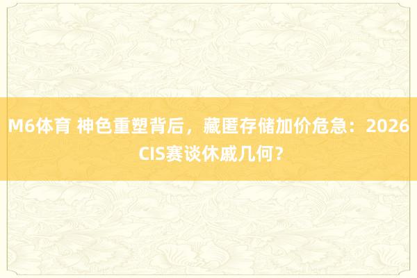 M6体育 神色重塑背后，藏匿存储加价危急：2026 CIS赛谈休戚几何？