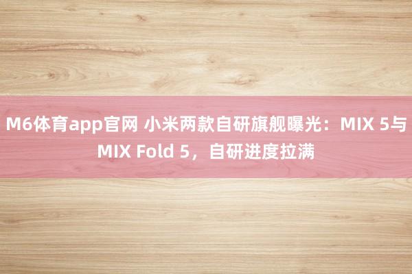 M6体育app官网 小米两款自研旗舰曝光：MIX 5与MIX Fold 5，自研进度拉满