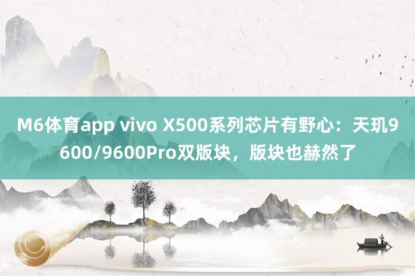 M6体育app vivo X500系列芯片有野心：天玑9600/9600Pro双版块，版块也赫然了