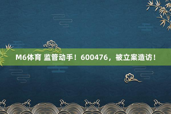 M6体育 监管动手！600476，被立案造访！
