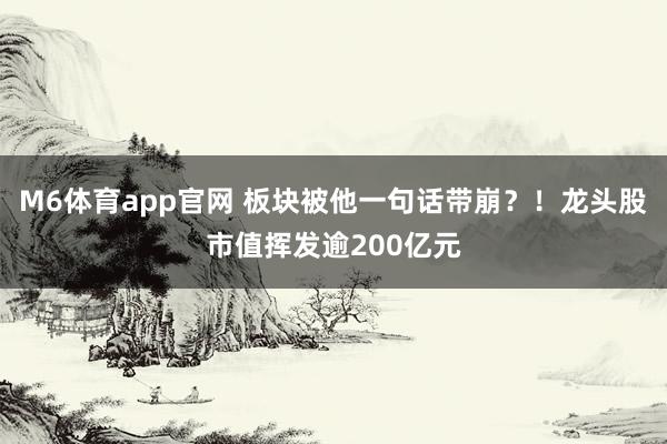 M6体育app官网 板块被他一句话带崩？！龙头股市值挥发逾200亿元