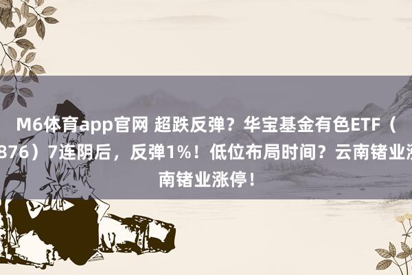 M6体育app官网 超跌反弹？华宝基金有色ETF（159876）7连阴后，反弹1%！低位布局时间？云南锗业涨停！