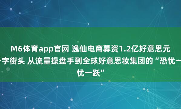 M6体育app官网 逸仙电商募资1.2亿好意思元的十字街头 从流量操盘手到全球好意思妆集团的“恐忧一跃”