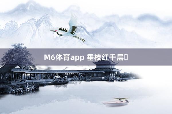 M6体育app 垂枝红千层‌