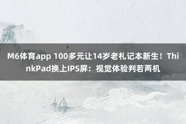 M6体育app 100多元让14岁老札记本新生！ThinkPad换上IPS屏：视觉体验判若两机