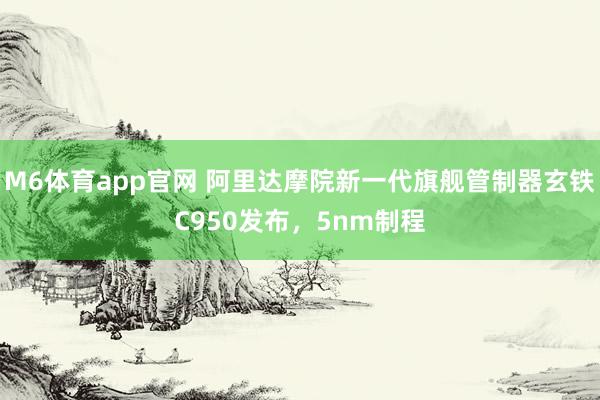 M6体育app官网 阿里达摩院新一代旗舰管制器玄铁C950发布，5nm制程