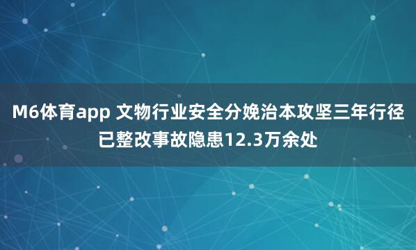 M6体育app 文物行业安全分娩治本攻坚三年行径已整改事故隐患12.3万余处
