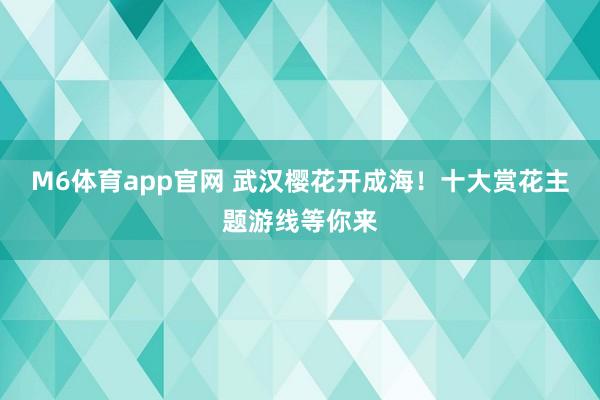 M6体育app官网 武汉樱花开成海！十大赏花主题游线等你来