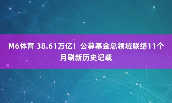 M6体育 38.61万亿！公募基金总领域联络11个月刷新历史记载
